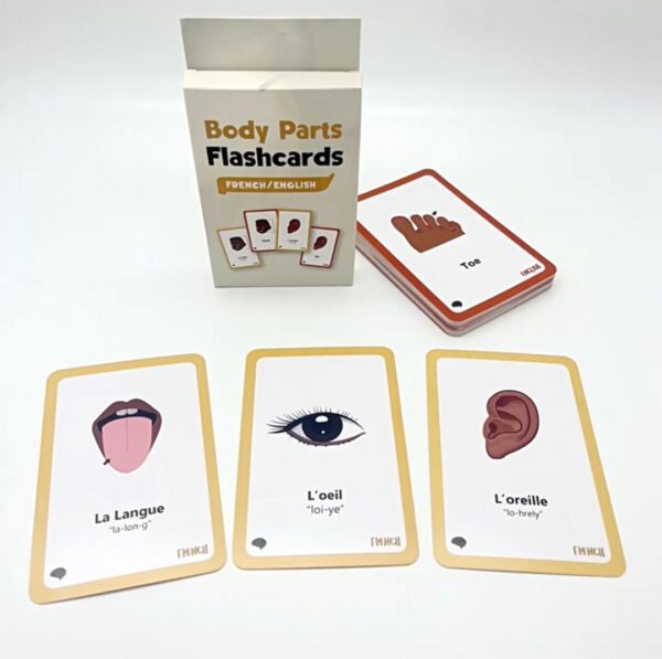 Body Parts Flashcards (French)